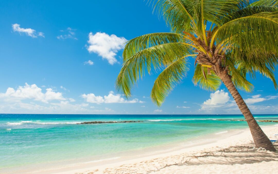 Obavijest o korištenju ljetnog godišnjeg odmora HATZ-a