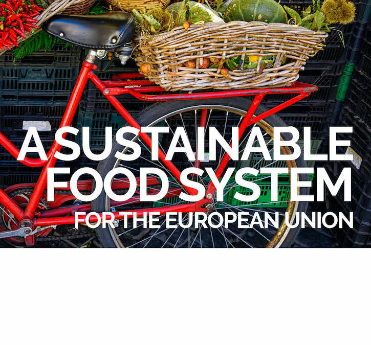 SAPEA Izvješće- “Sustainable food system for the European Union” – prof. dr. sc. Verica Dragović Uzelac