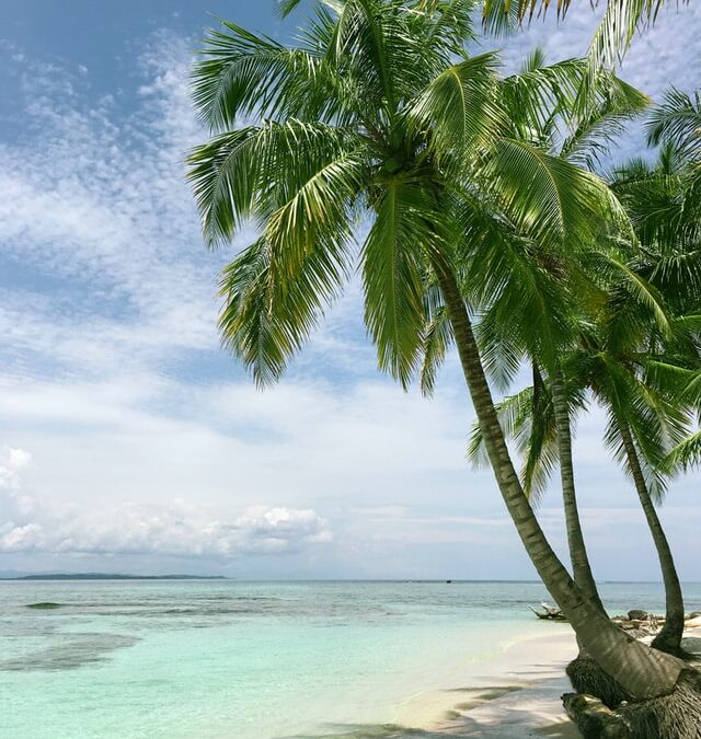 Obavijest o radu Ureda HATZ-a tijekom ljetnih praznika