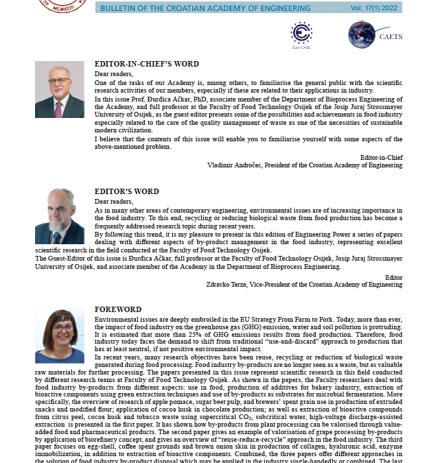 Engineering Power, Vol. 17(1) 2022